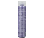 Enjoy Repair Silver Platinum Shampoo - Image 2