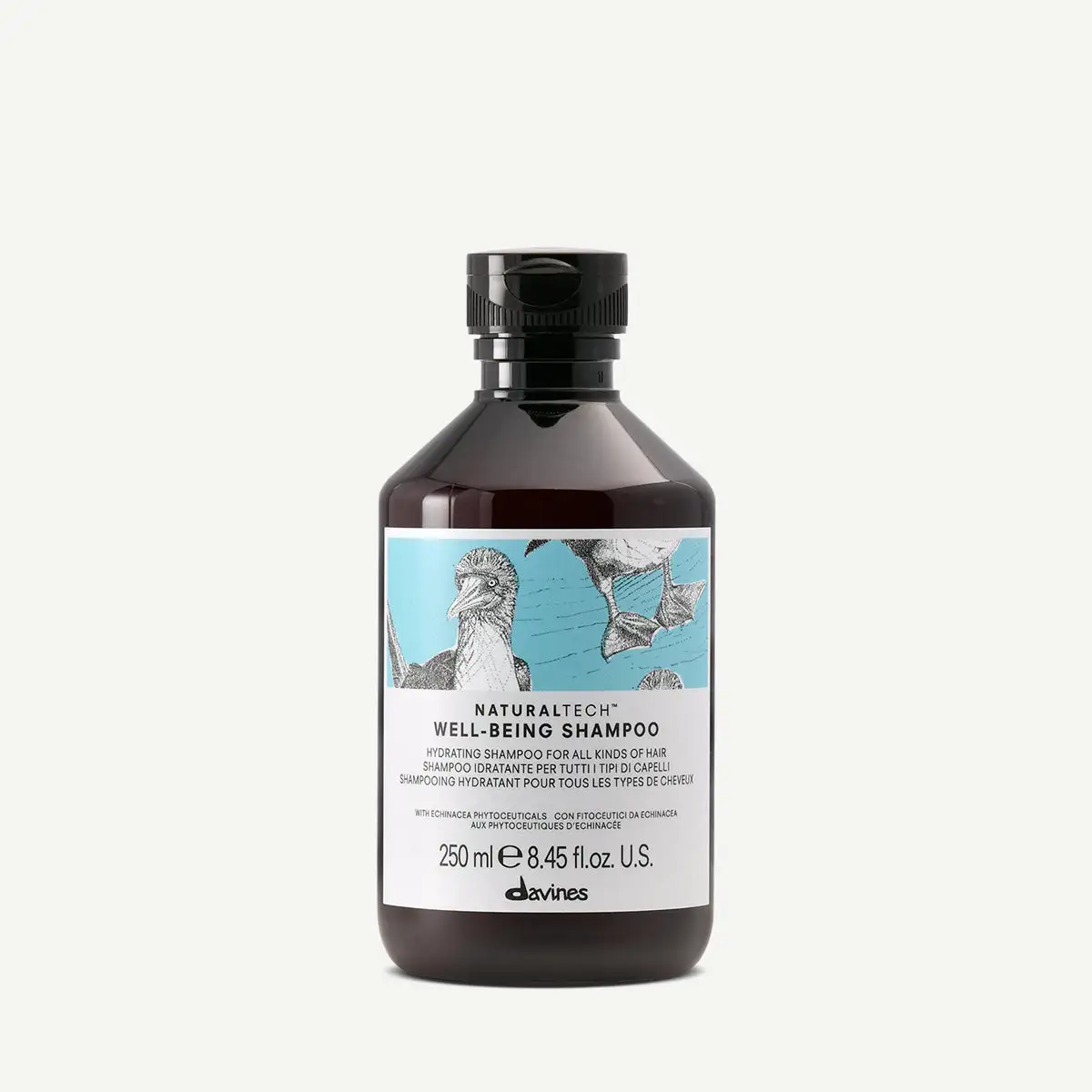 Davines-71261-wellbeing-shampoo-250ml-8004608256502-1-2000x Davines WELLBEING Shampoo - Image 1