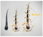 Revivogen Bio-Cleansing Shampoo - Image 2