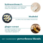 VI Derm Post Treatment Repair Cream - Image 3