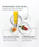 Dr. Dennis Gross All-Physical Lightweight Wrinkle Defense Broad Spectrum Sunscreen SPF 30 - Image 6