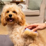 1304x1000-images_0001s_0004_small-detangling-lilac-butter_600x600