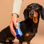 1304x1000-images_0001s_0008_small-deshedding-sky-blue_600x6002x