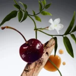 Philosophy Radiant Grace Firming Body Emulsion - Image 4