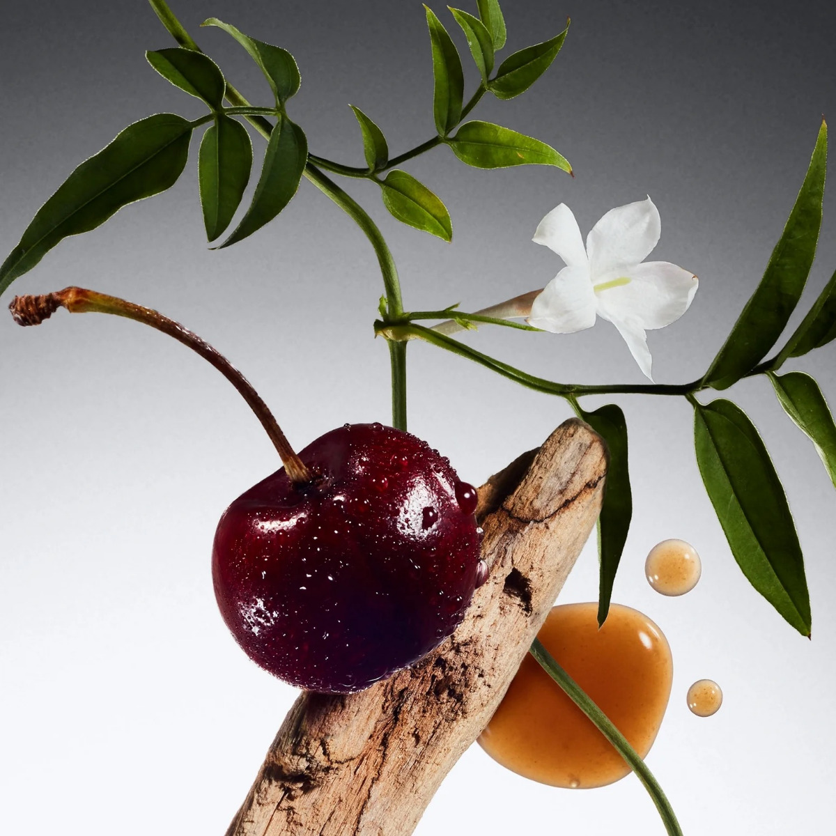 phf_radg_edp_24_digital_ingredient_multi_no_text_1x1.psd-jpg-300dpi-1550px_22243471-e4b6-432c-89eb-298ea23645a9_1 Philosophy Radiant Grace Hydrating Shower Gel - Image 4