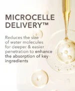 Dr. Dennis Gross DermInfusions™ Fill + Repair Serum with Hyaluronic Acid - Image 3