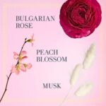 Fresh Rose Morning EDP - Image 3