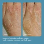 Philosophy In Good Hands Multi-Restorative Hand Cream - Fresh Cream - Image 5