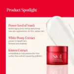 SK-II PITERA Bestsellers Set (Limited Edition) - Image 2