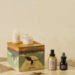 Davines Boreal Tundra Gift Set for All Hair Types - Image 2