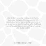 Little Giraffe Luxe™ Irresistibly Soft Throws for Tweens, Teens & Young Adults (Solid Colors 45" x 59") - Image 13