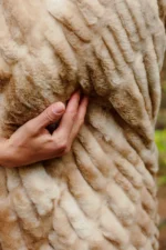 Little Giraffe Cascade Throw Blanket - Image 5