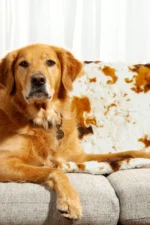 Little Giraffe The Furever Blanket (30" x 40") - Image 5