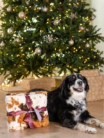 Little Giraffe The Furever Blanket (30" x 40") - Image 8