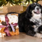 Little Giraffe The Furever Blanket (30" x 40")