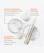 Dr. Dennis Gross DermInfusions™ Plump + Repair Lip Treatment with Hyaluronic Acid (10ml) - Image 3