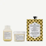 Davines SET Damaged Hair Travel Set