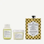 Davines SET Dry Hair Travel Set