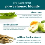 VI Derm Travel Size Gentle Purifying Cleanser - Image 7